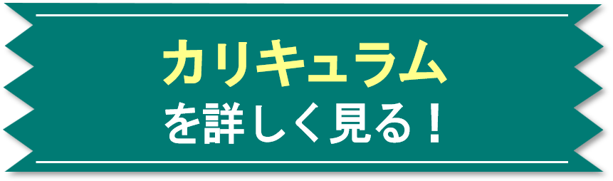 カリキュラム